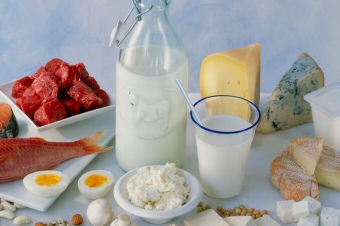 productos proteicos